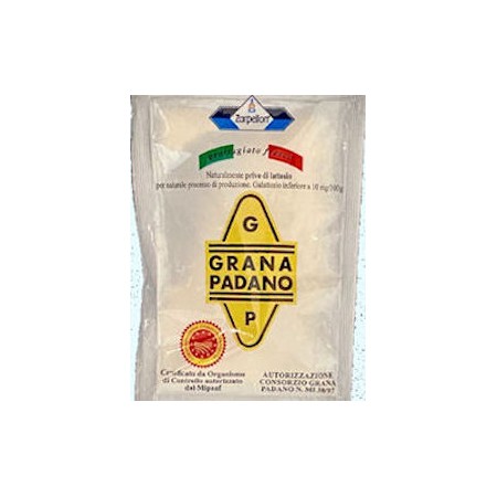 GRANA PADANO DOP GRATT.BUSTINE GR.5